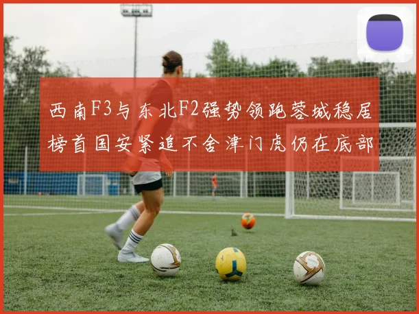 西南F3与东北F2强势领跑蓉城稳居榜首国安紧追不舍津门虎仍在底部挣扎